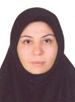 حسين-زاده.png